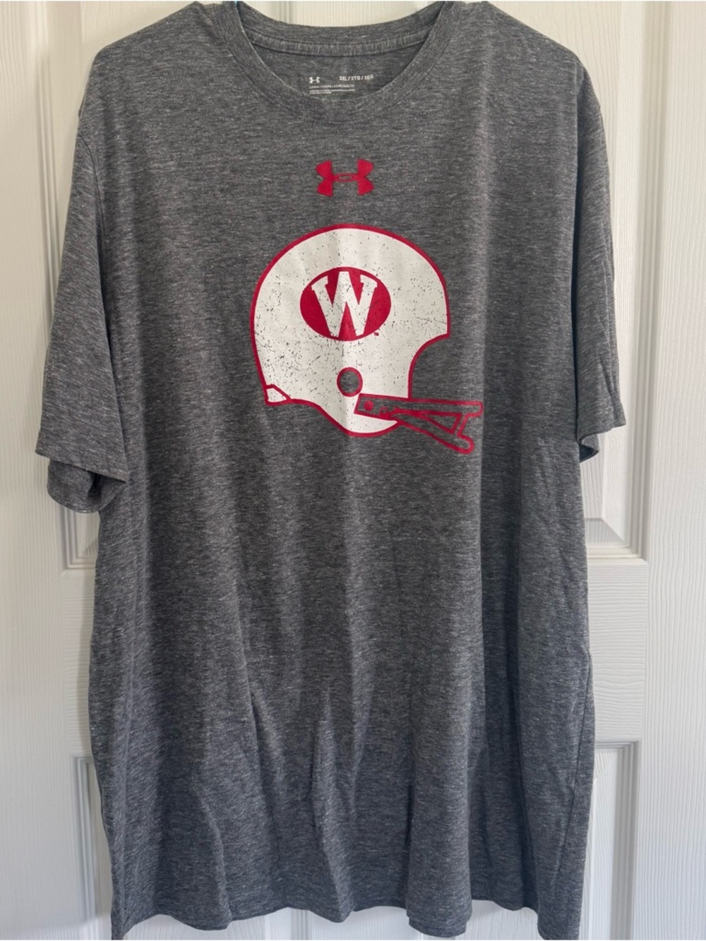 Wisconsin Badgers T